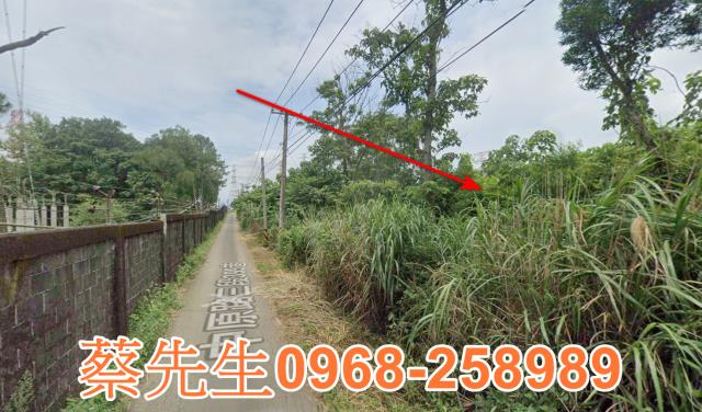 龍潭中原路農舍地興建農舍種植農作物