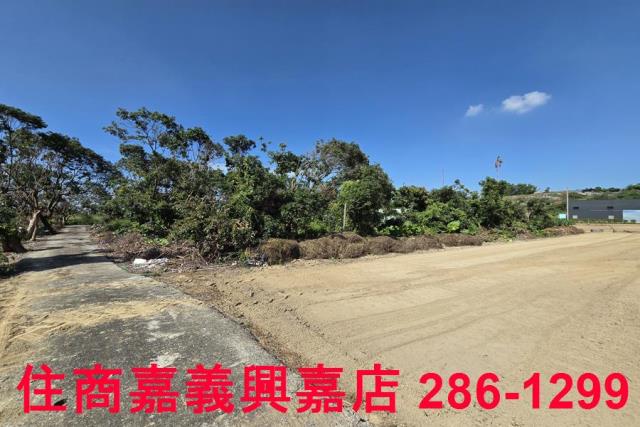 嘉義水上農地-9