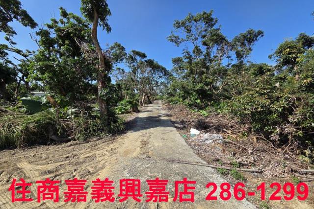 嘉義水上農地-3