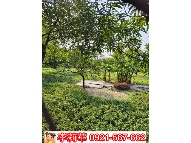 高雄岡山農地-11