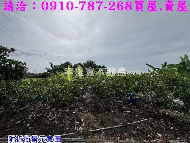 台南農地-14