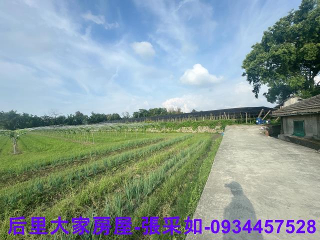 台中后里農地-1