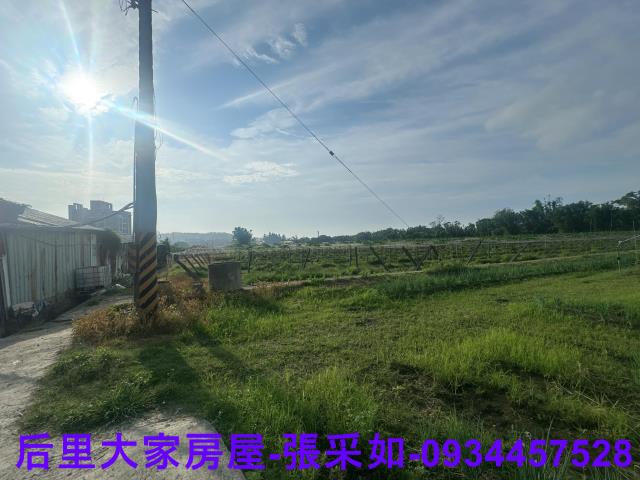 台中后里農地-2
