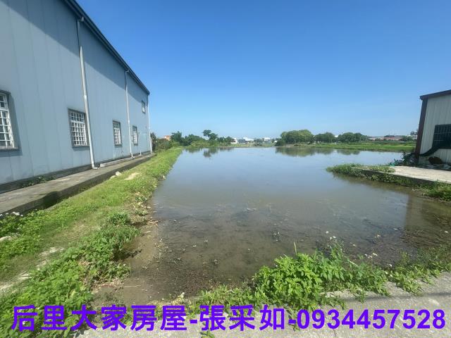 台中后里農地-4