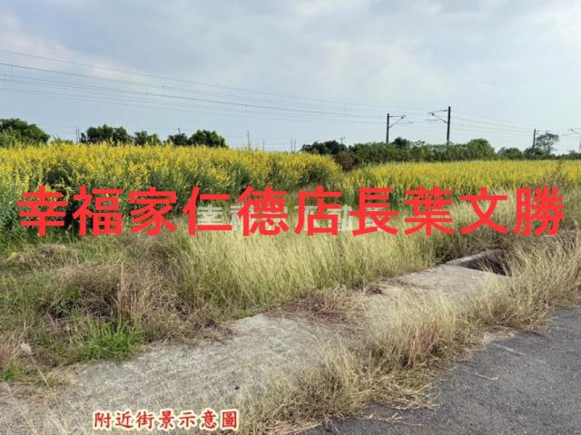 台南新市農地-7