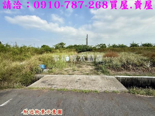 台南新市農地-10