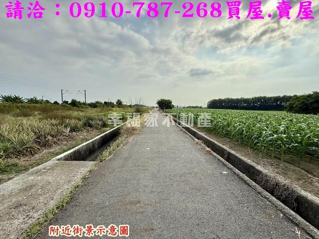 台南新市農地-3