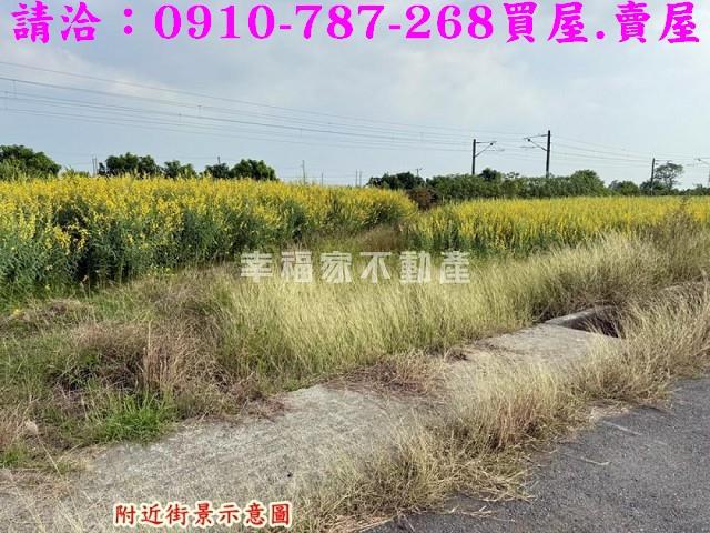 台南新市農地-7