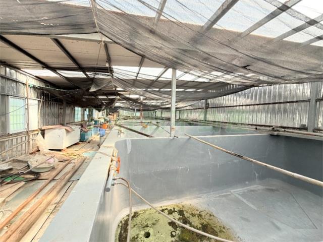 高雄彌陀農地-5