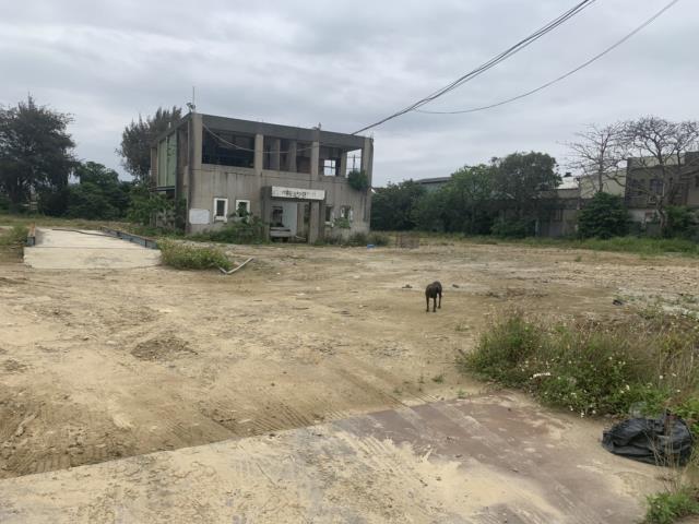 苗栗竹南工業地-1