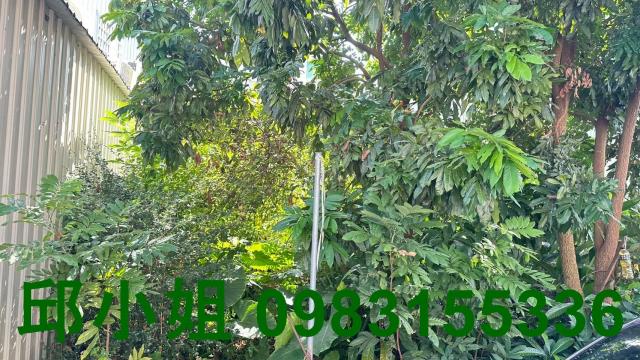 嘉義竹崎建地-1