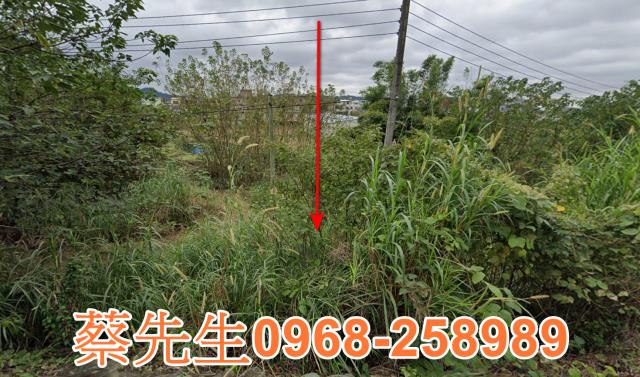 芎林石壁潭農舍地興建農舍種植農作物