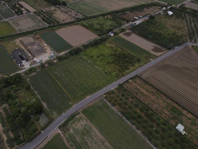 麻豆北勢寮32分有機柚子園