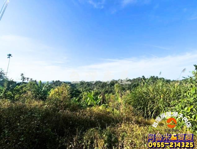 嘉義阿魯米建地農地買賣台灣房屋嘉義湖子內店富鑫團隊呂昆佩