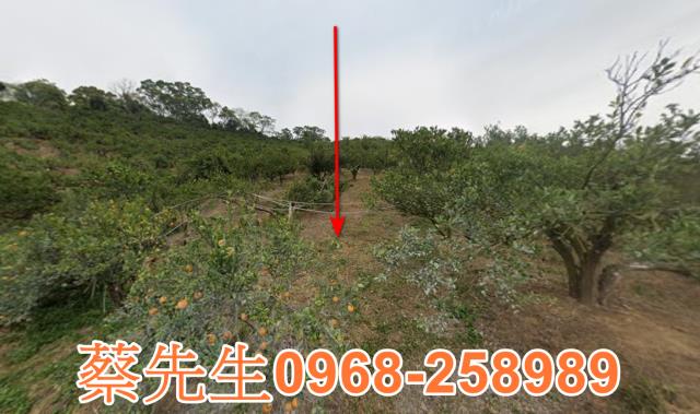 頭份珊湖里農舍地興建農舍種植農作物