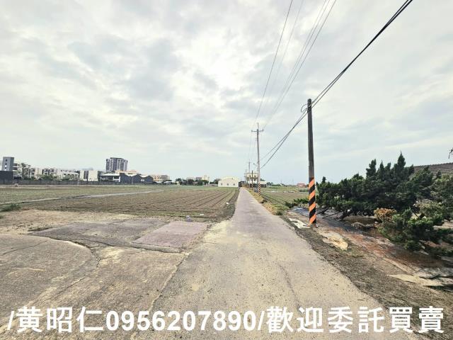 安南農地-2