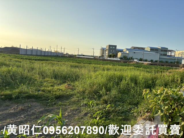 台南農地-3