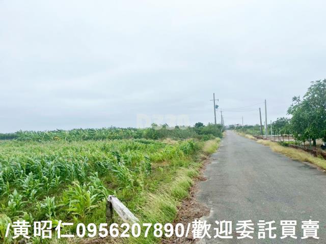 台南農地-3