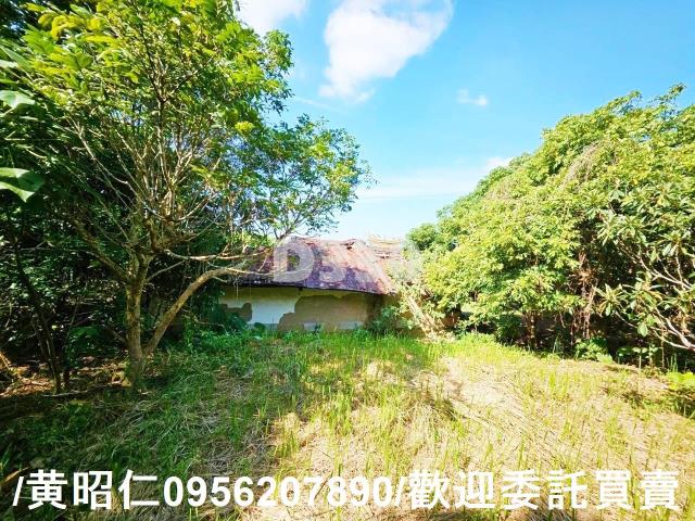 台南農地-2