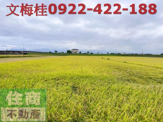 宜蘭土地宜蘭農地員山農地壯圍農地