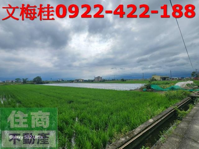 宜蘭壯圍農地-5