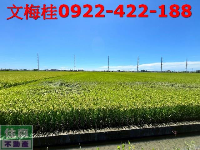 宜蘭壯圍農地-3