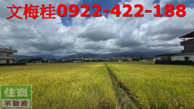 宜蘭宜蘭市農地-0