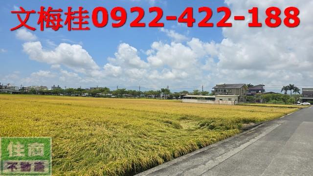 宜蘭宜蘭市農地-3