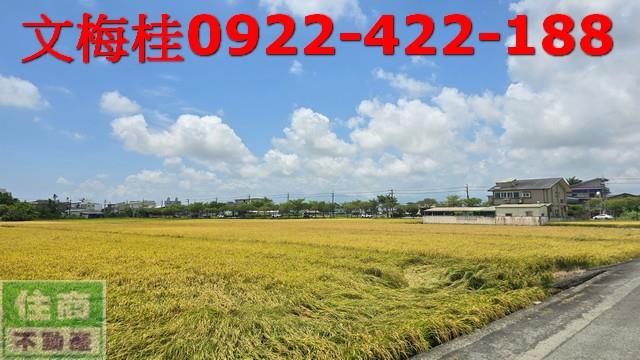 宜蘭宜蘭市農地-4