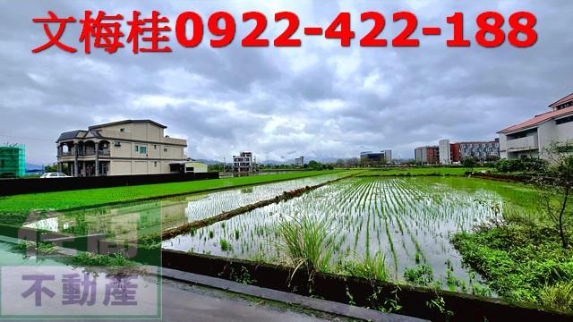 宜蘭宜蘭市農地-6