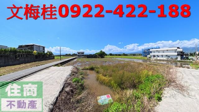 宜蘭宜蘭市農地-3