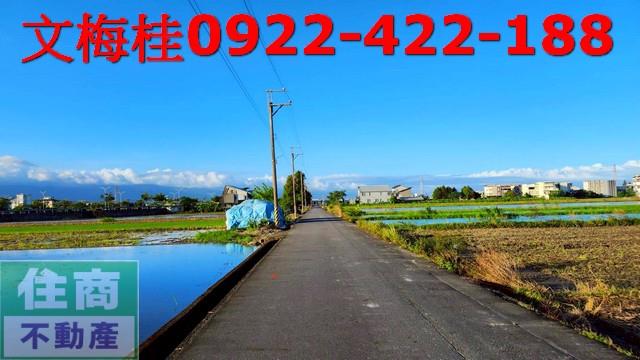 宜蘭宜蘭市農地-4