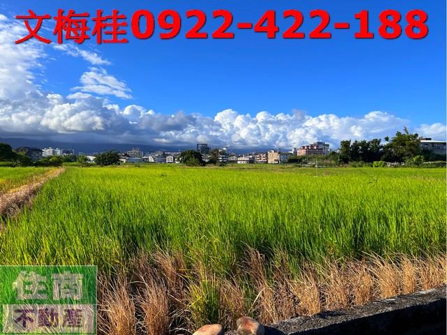 宜蘭宜蘭市農地-6