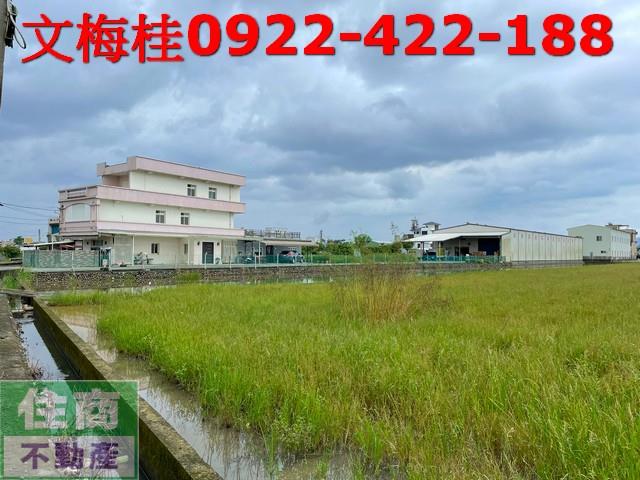 宜蘭宜蘭市農地-7