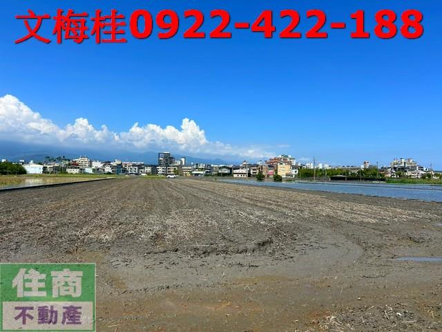 宜蘭宜蘭市農地-9