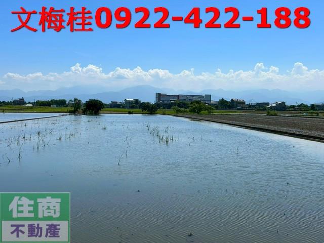 宜蘭宜蘭市農地-1