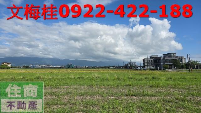 宜蘭宜蘭市農地-4