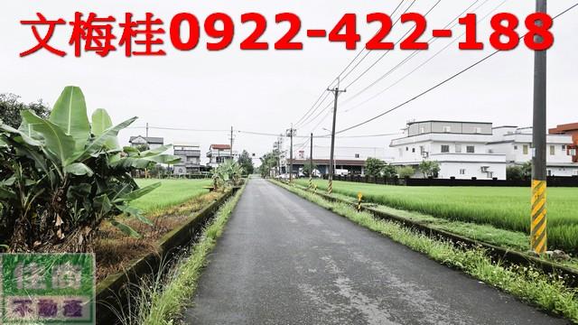 宜蘭宜蘭市農地-3