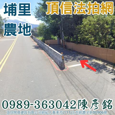 埔里農地法拍-1