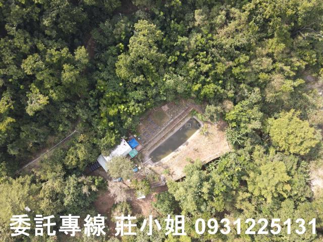 玉井三埔加利利優美農地