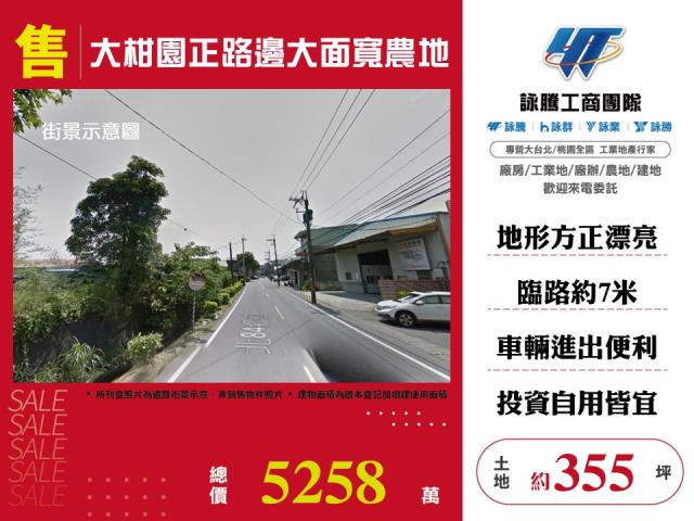 大柑園正路邊大面寬農地