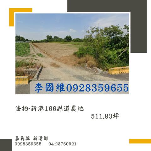 嘉義農地法拍-0