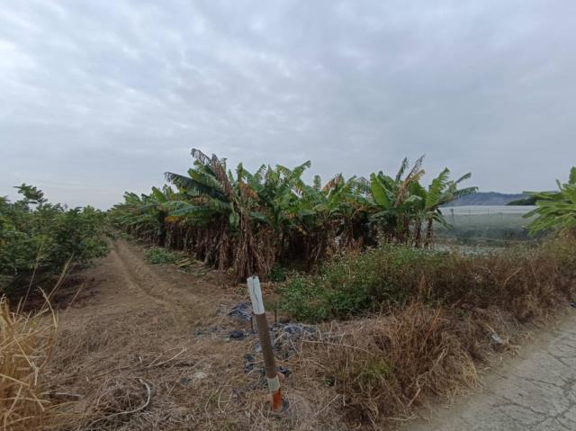 台南玉井農地-10
