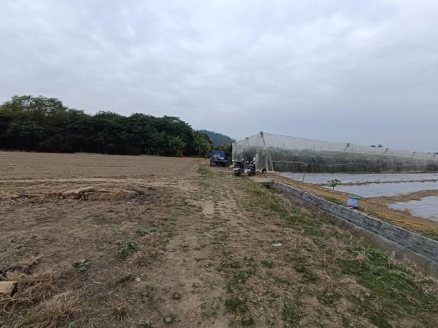 台南玉井農地-6