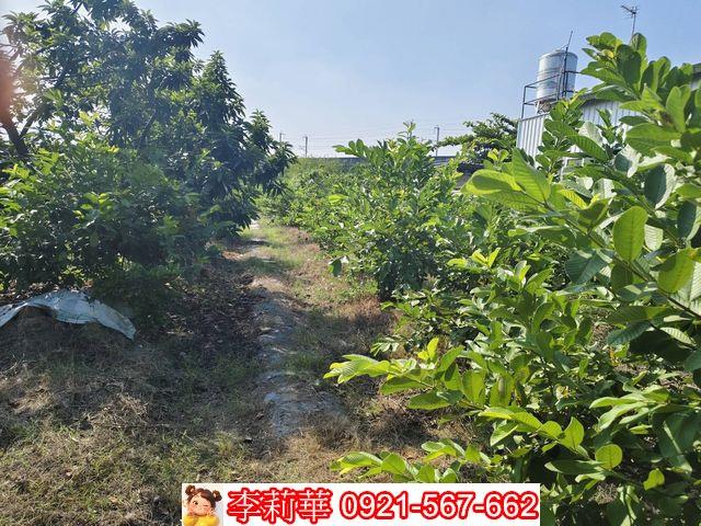 高雄岡山農地-7