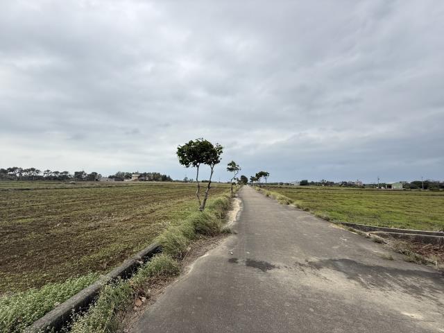 桃園新屋農地-2