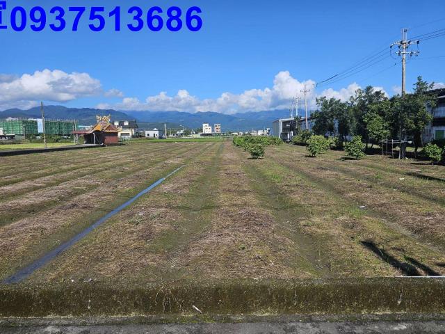 宜蘭縣員山鄉新洲子段農地出售