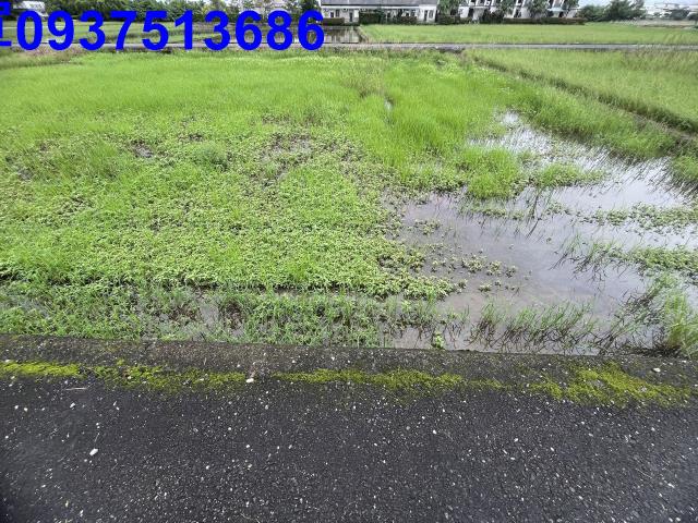 宜蘭縣宜蘭市振興三段農地出售