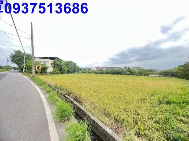 大園農地-9