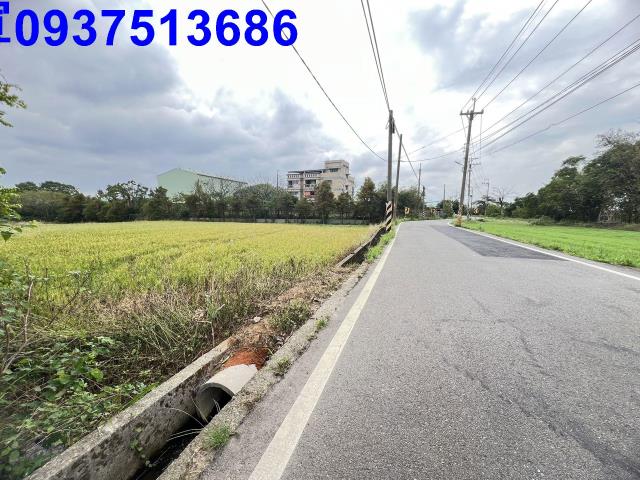 大園農地-14